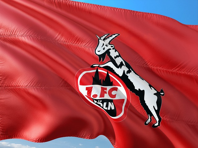 1. FC Köln trennt sich von Trainer Struber und Geschäftsführer Keller
